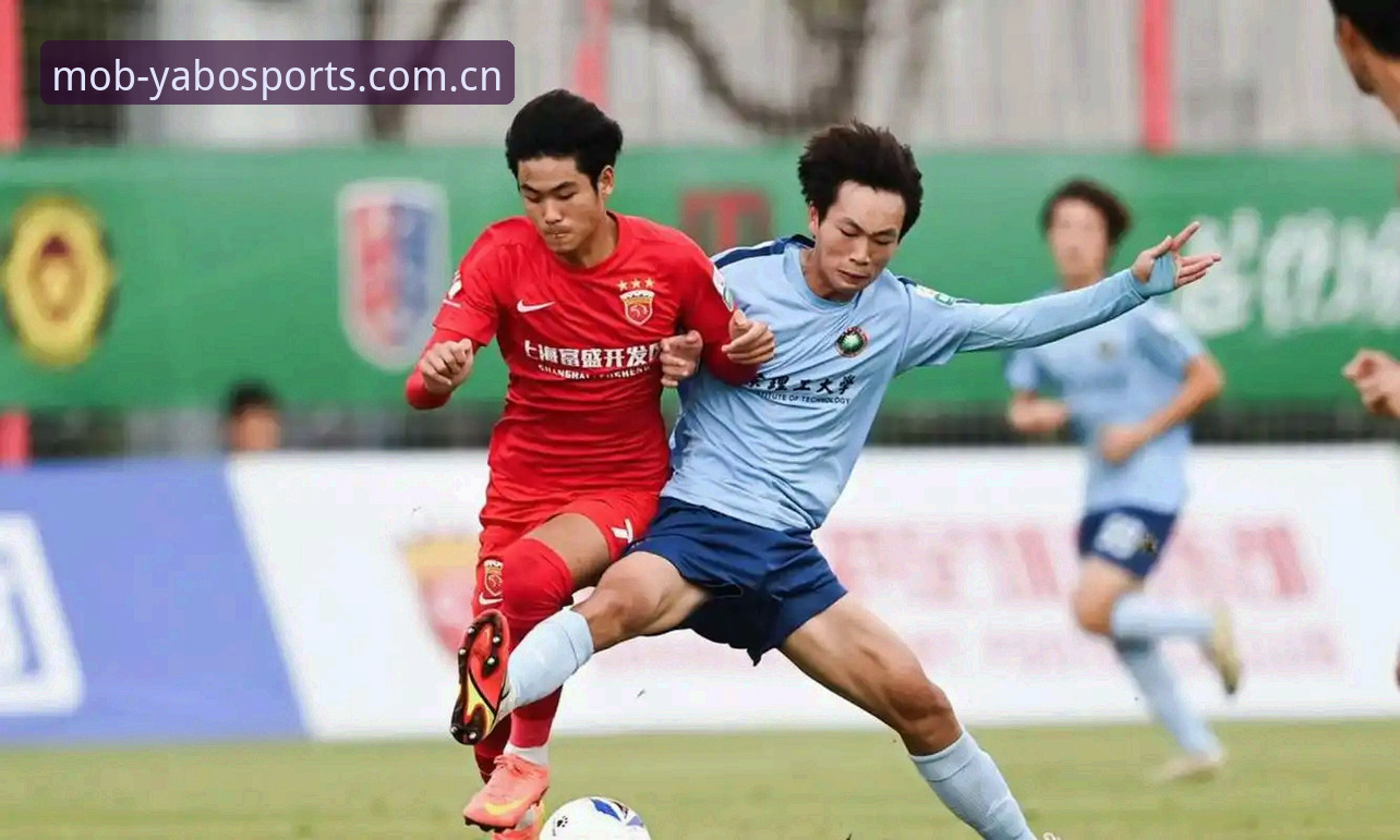 yabosports体育资讯怎么样 足协第三批禁足名单全面解析:17人终身禁赛背后的行业警示与YABO体育视角